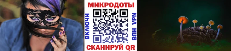 мориарти Telegram  Кондрово  Псилоцибиновые грибы Psilocybine cubensis 